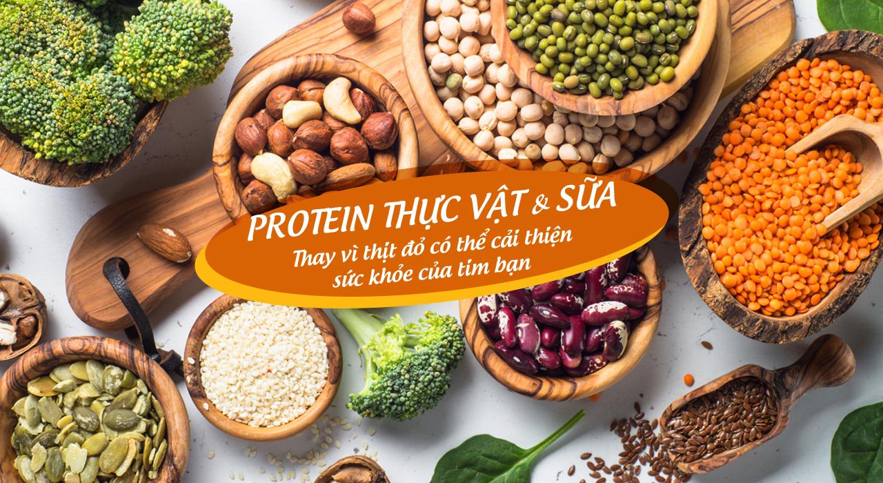 thực phẩm giàu protein thực vật