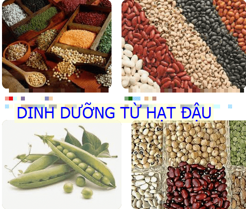 Đậu - nguồn thực phẩm tự nhiên giàu dinh dưỡng 